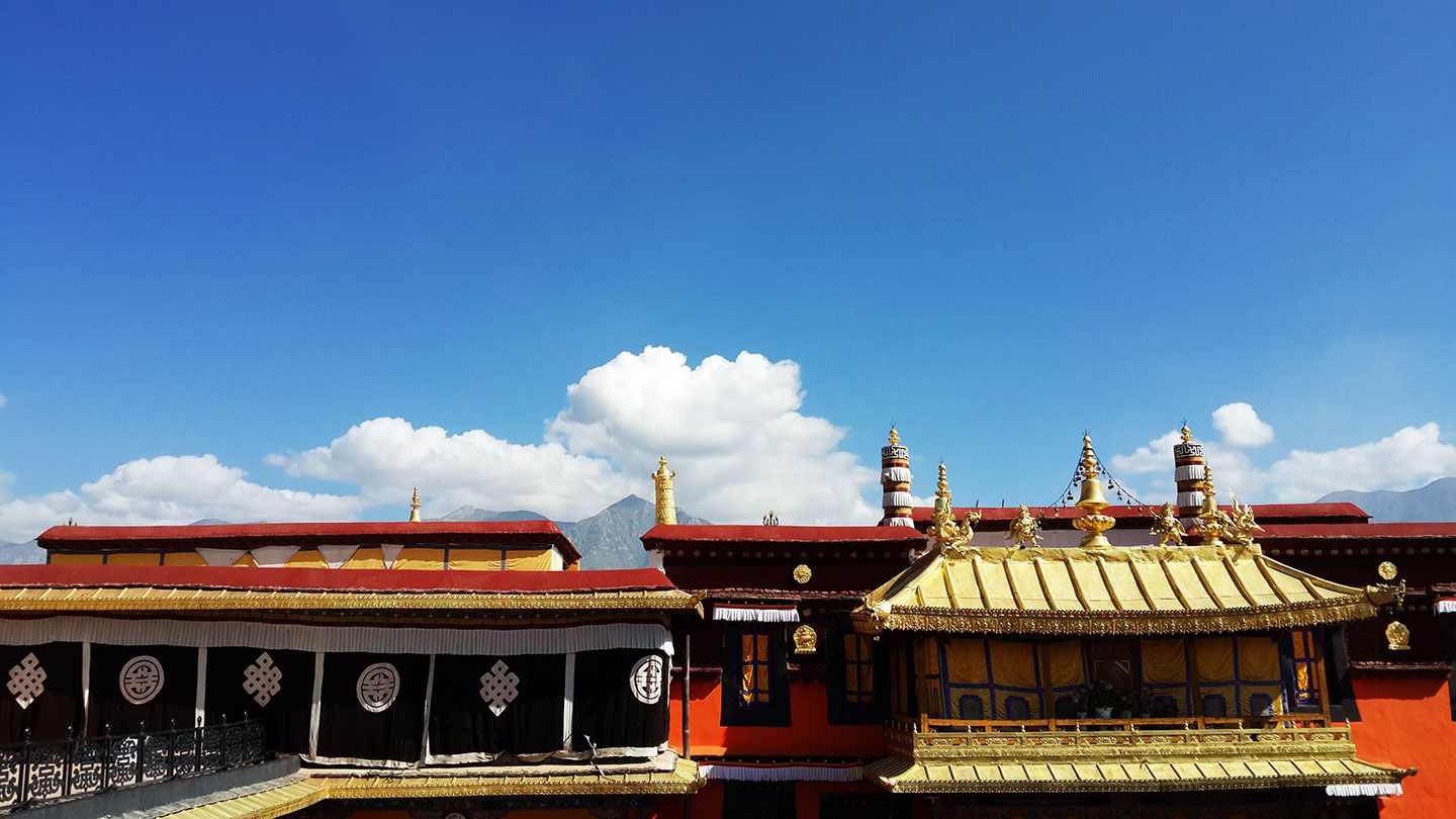 Thư phản hồi vì giao hàng chậm